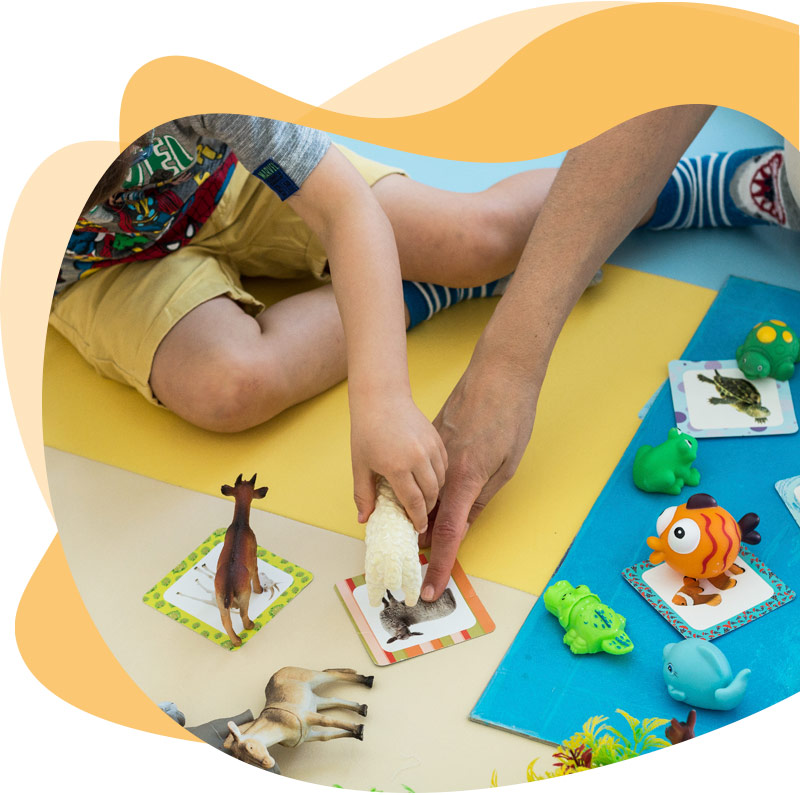 Desenvolvimento Infantil