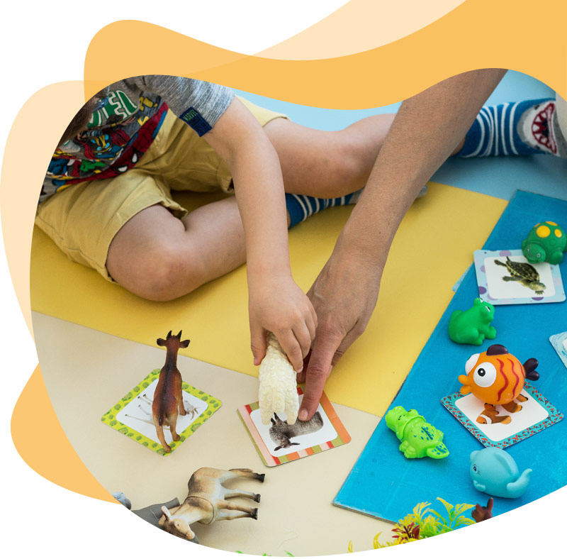 Desenvolvimento Infantil